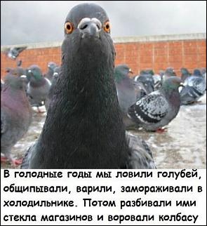 Анекдоты и юмор ))) - Часть 2-811.jpg