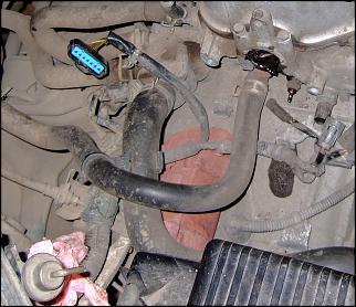 Владельцам Honda Civic 6 поколения... - Часть 5-dscf0343-starter.jpg