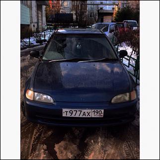 Фото наших любимцев-0vw0jgxed10.jpg