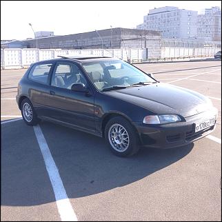 Фото наших любимцев-img_2020.jpg