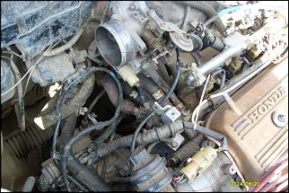 EW- что за чудо?-s6302243-razreshenie-rabochego-stola