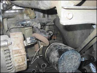 EW- что за чудо?-01773.jpg