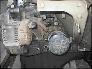 EW- что за чудо?-01771.jpg