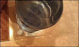 тормоза от accord встанут на civic?-imag0150.jpg