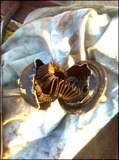 всем у кого дёргается АКПП при переключении со 2 на 3 передачу на малых оборотах-1.jpg