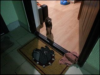 Анекдоты и юмор ))) - Часть 2-image