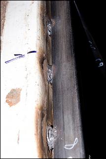 Сивку в сток.-garazh-3646.jpg