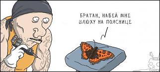 Анекдоты и юмор ))) - Часть 2-gaeo3auvopk-002-.jpg