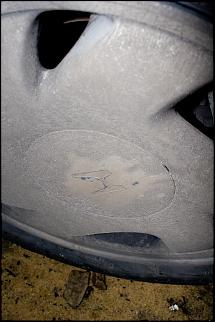 Сивку в сток.-m-4014.jpg