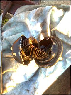 всем у кого дёргается АКПП при переключении со 2 на 3 передачу на малых оборотах-foto0774.jpg