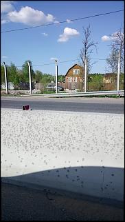 Чей Сивик? - Часть 9-lozhki.jpg