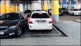 Фотоохота на 7-х!!!-77.jpg