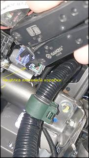 Установка круиз-контроля и управление аудио на руле (на примере Elegance MT)-1.jpg