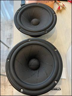 JL Audio, Alpine, Scanspeak, US AMPS-scan1.jpg
